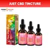 Just CBD Tincture 550mg