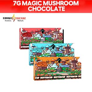 Silly Farms 7g Magic Mushroom Chocolate