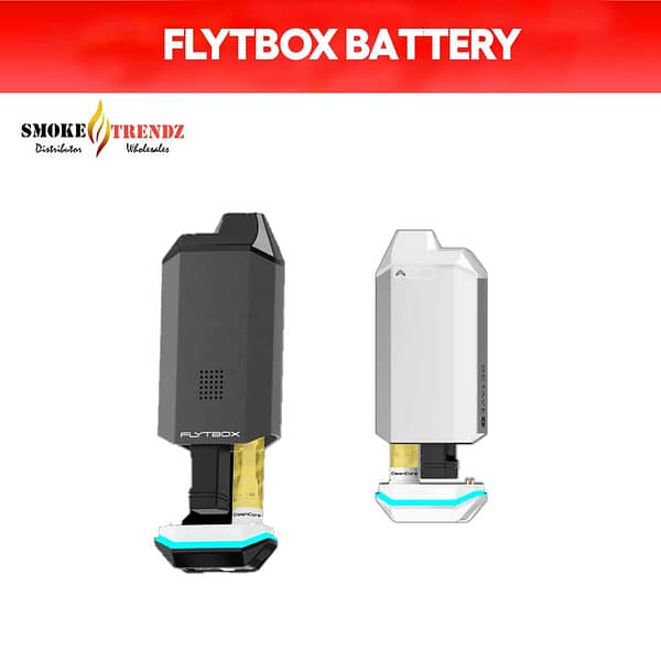 Dubcharge Flty Box Battery